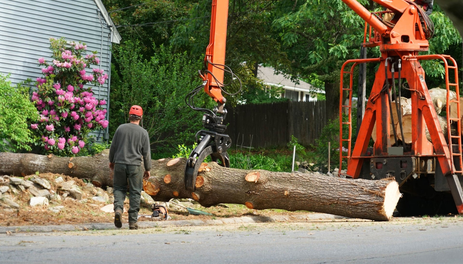 Local partner for Tree removal services in Reseda