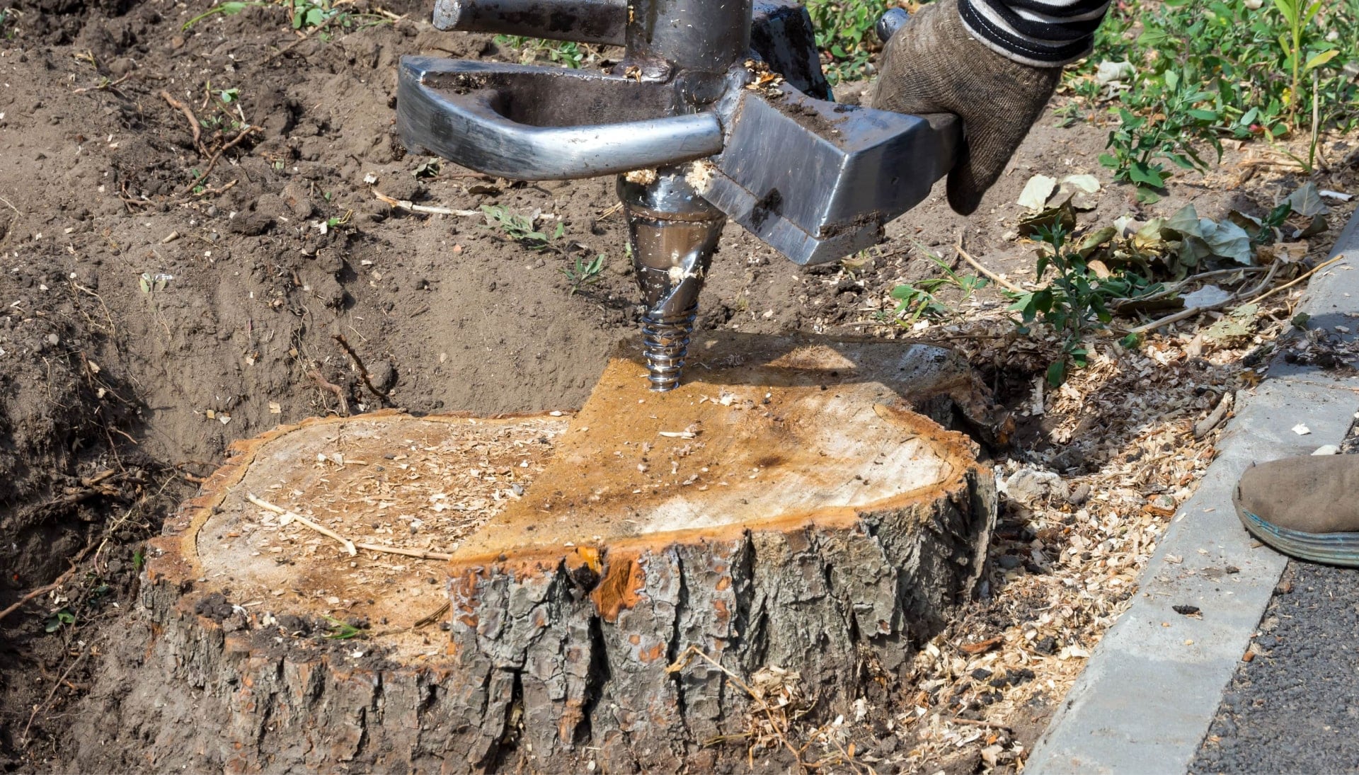 Reseda Tree stump removal